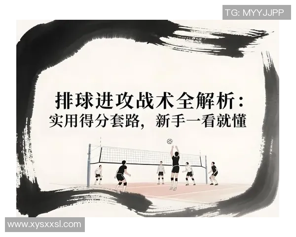 南京排球队快攻战术解析与深度剖析之旅